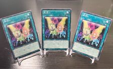 Conjunto de 3 cartas Yu-Gi-Oh japonês rotação, usado comprar usado  Enviando para Brazil