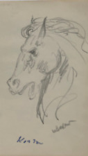 Horse pencil drawing for sale  Westfield