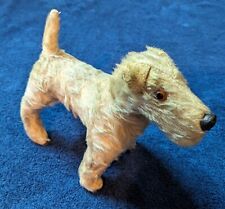 Vintage wire haired for sale  NEWTON ABBOT
