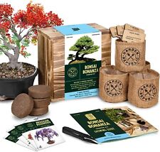 Bonsai tree seed d'occasion  Expédié en Belgium