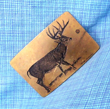 Deer buck stag for sale  Torrington