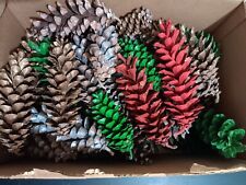 Painted pine cones for sale  Manheim