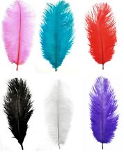 Ostrich fowl feathers for sale  LIVERPOOL