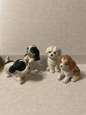 Porcelain spaniel puppies for sale  New Albany
