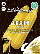 Zucchini sunstripe hervorragen gebraucht kaufen  Kamenz