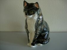 philip laureston cat for sale  BEXHILL-ON-SEA
