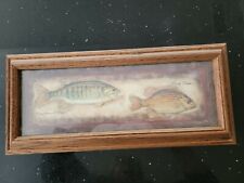 cute fish pictures for sale  Kingman