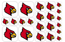 Louisville cardinals team for sale  Chapel Hill