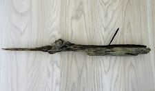 Interesting 71cm driftwood for sale  BRAINTREE