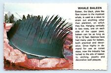 Whale baleen arctic for sale  Palm Bay