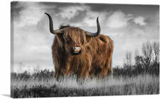 Artcanvas highland calf for sale  Niles