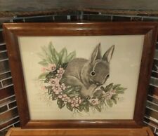 young rabbit doe for sale  Loganville