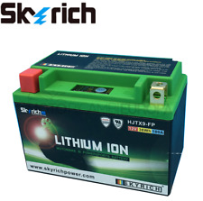 Batteria litio skyrich usato  Italia