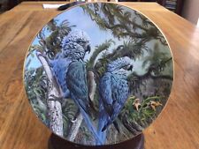 Macaw plate spix for sale  BALLYCLARE