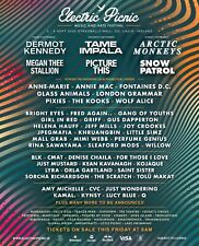 Electric picnic weekend for sale  Ireland