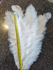 ostrich feather centerpieces for sale  NEWMARKET