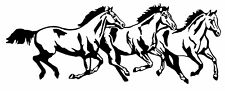 Horse rodeo western for sale  Chatsworth