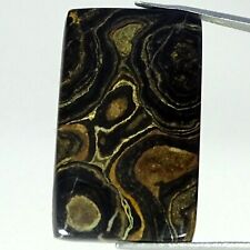40.20 Cts African Stromatolite Loose Gemstone Cushion Cabochon Natural 21X35X5MM for sale  Shipping to South Africa