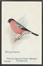 Postcard bullfinch advertising for sale  POOLE