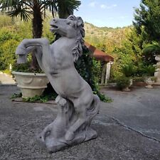 Statua cavallo rampante usato  San Marco Evangelista