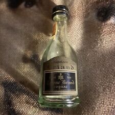 Botella de coñac vintage BRIAND Napoleon mini vacía segunda mano  Embacar hacia Argentina