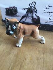 Boxer puppy dog for sale  SOUTHEND-ON-SEA