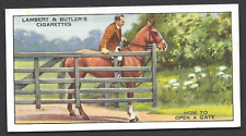 Lambert butler horsemanship for sale  TAMWORTH