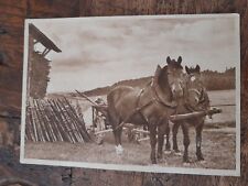 Alte postkarte pferde gebraucht kaufen  Straubing