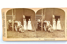 Stereoview card waiting for sale  Freehold