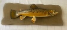 Mounted trout inches for sale  Milton