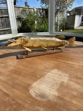 taxidermy pike for sale  BILLERICAY