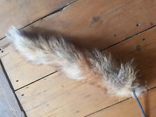 Fox tail real for sale  WINKLEIGH
