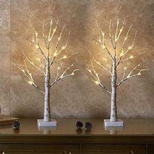 Eambrite lighted birch for sale  Claymont