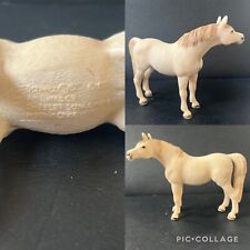 palomino for sale  Ireland