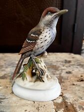 bird porcelain thrasher for sale  Monticello