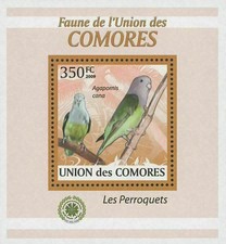 agapornis segunda mano agapornis segunda mano Embacar hacia Spain