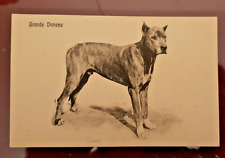 Cartolina serie cani usato  L Aquila