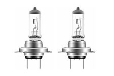 Coppia lampade lampadine usato  Torre Canavese