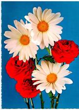 Cartolina fiori magherite usato  Bologna