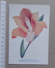 Carte orchidee anguloa d'occasion  Grancey-le-Château-Neuvelle