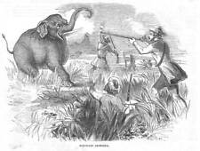 Hunting elephant shooting for sale  Shipping to Ireland