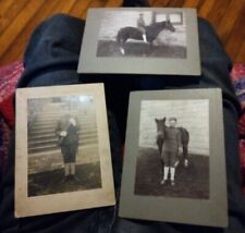 Wwi soldier horse for sale  Gettysburg