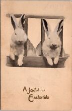 Easter white rabbits for sale  Sherwood