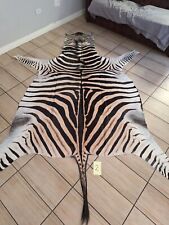 Used, Zebra hide  / skin - A large A grade South African Burchell Zebra hide for sale  South Africa 