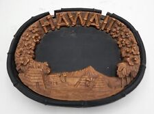 Hawaii lava rock for sale  Hebron
