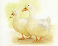 Two ducks print for sale  YEOVIL