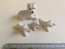 West highland terriers for sale  WATERLOOVILLE