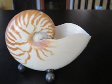 Nautilus perlboot schnecke gebraucht kaufen  Ahrensburg