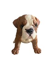 english bulldog pups for sale  Monroe Township