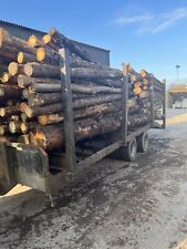 Forestry large timber for sale  LANCASTER